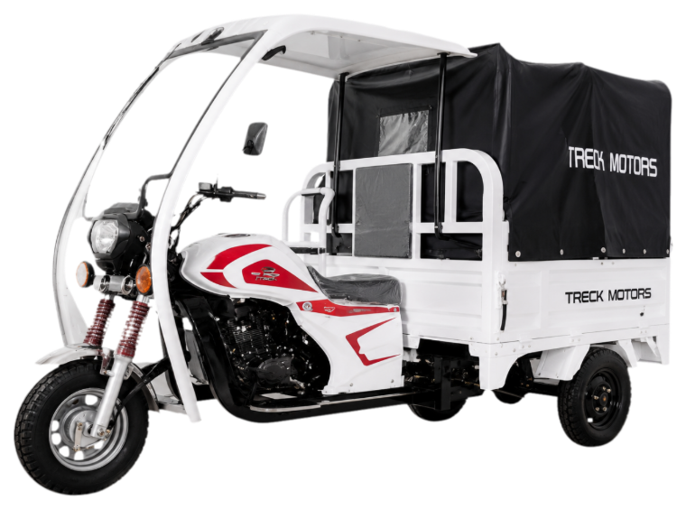TRICICLO COMBUSTION 250CC 4T